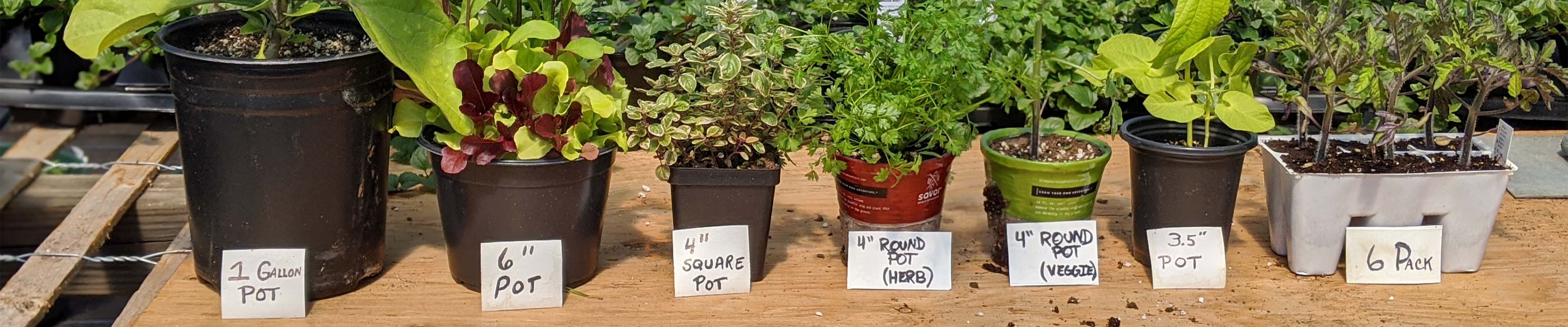 A row of different sized flower pots